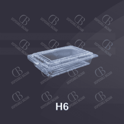 Thin Plastic Box H-6