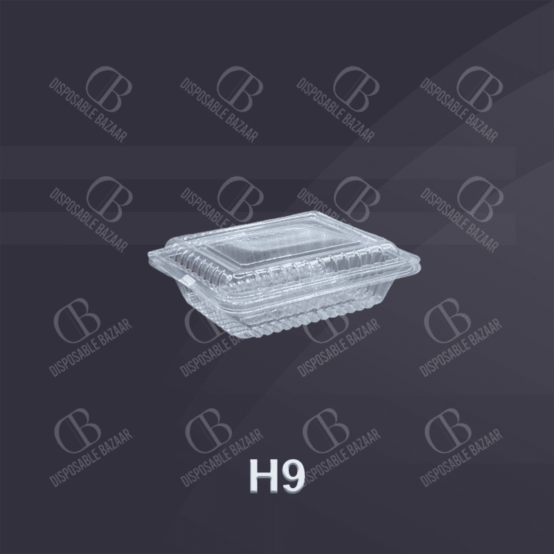 Thin Plastic Box H-9