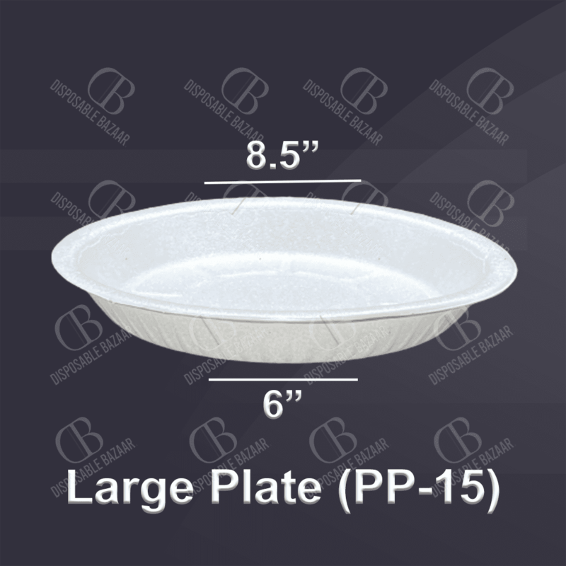 Styrofoam Large Plate PP-15