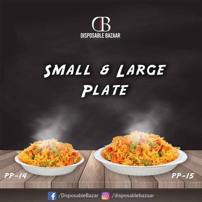 Styrofoam Small Plate PP-14
