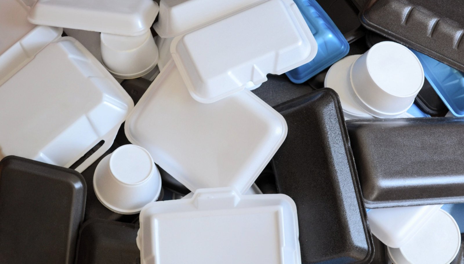 Where to Buy Affordable Styrofoam Food Containers in Karachi?